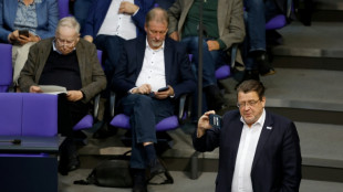 Bundestag hebt Immunit&auml;t der AfD-Abgeordneten Brandner und Moosdorf auf