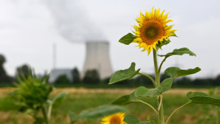 Ministerium: Laufzeitverl&auml;ngerung br&auml;chte 225 Tonnen schwer radioaktiven Materials