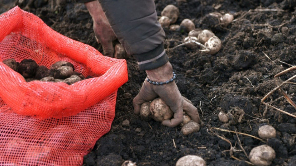 Erzeugerpreise f&uuml;r landwirtschaftliche Produkte steigen weiter 