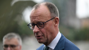 Merz reist zum Nordischen Gipfel ins finnische Turku