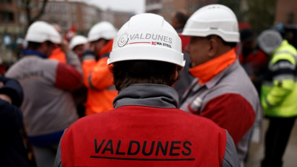Valdunes: la reprise par Europlasma mise en d&eacute;lib&eacute;r&eacute; au 20 mars