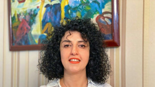 Friedensnobelpreisträgerin Mohammadi im Iran gewaltsam festgenommen