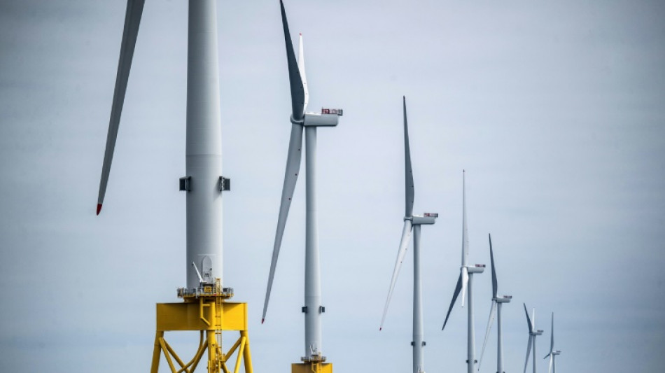 World falling dangerously short of climate goals: UN