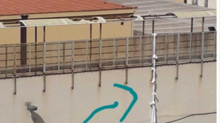 Tre detenuti evadono dal carcere minorile di Palermo