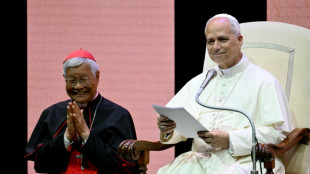 Halbe Million Teilnehmer zum katholischen Weltjugendtreffen in Rom erwartet