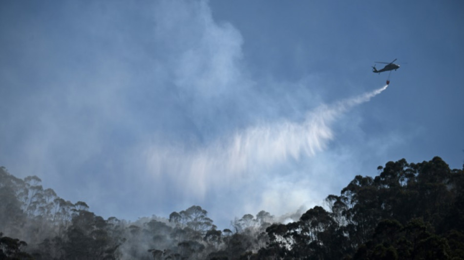 Incendios forestales azotan Bogot&aacute; y otras regiones de Colombia