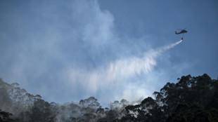 Incendios forestales azotan Bogot&aacute; y otras regiones de Colombia