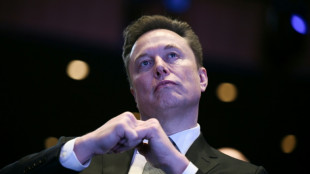 Musk defends AI ambitions as IPO reveals trouble