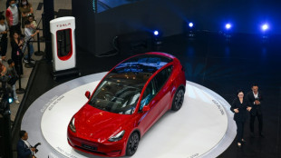 La Tesla Y a &eacute;t&eacute; la voiture la plus vendue au monde en 2023, une premi&egrave;re pour une &eacute;lectrique