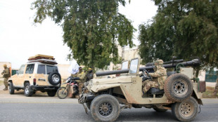 Syrie: les rebelles disent commencer &agrave; encercler Damas, les forces gouvernementales nient s'&ecirc;tre retir&eacute;es