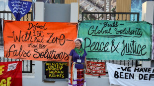 Climat: discussions nocturnes serr&eacute;es pour trouver une issue