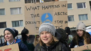 Des manifestants, dont Greta Thunberg, r&eacute;clament la "justice climatique" &agrave; Davos