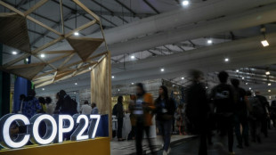 Bericht: Bei COP27 gut ein Viertel mehr Lobbyisten f&uuml;r &Ouml;l, Gas und Kohle als 2021