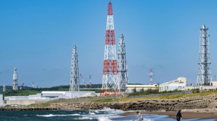 Japon: nouvel essai de red&eacute;marrage de la plus grande centrale nucl&eacute;aire du monde