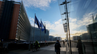 Bozza documento Ue, dazi sui prodotti Usa fino al 25%