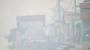 Indonesians on fire-ravaged island sue state for clean air