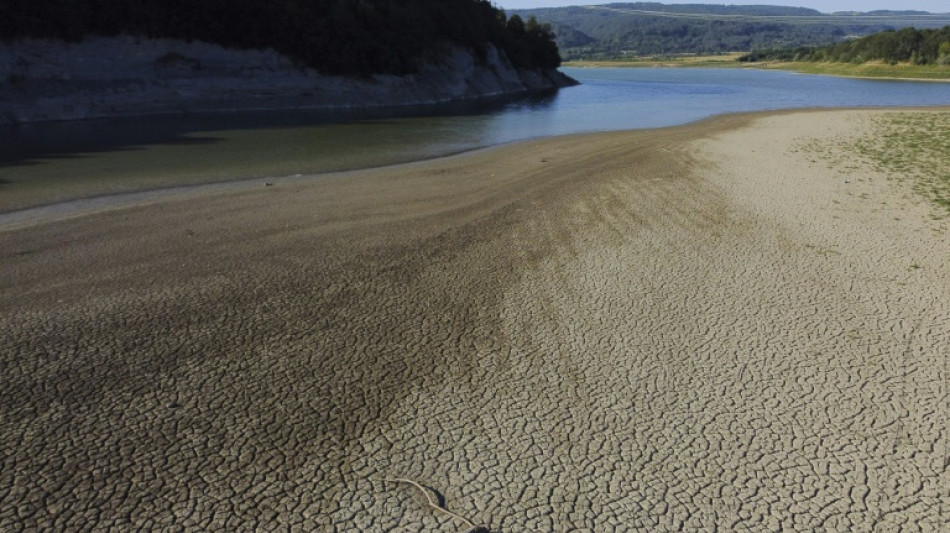 Klima-Wissenschaftler werfen US-Regierung Verzerrung ihrer Arbeit vor