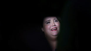 Lang will schnelleren Zugang f&uuml;r Fl&uuml;chtlinge zu Arbeitsmarkt