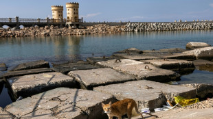 Découverte de l'épave d'un bateau antique dans la rade d'Alexandrie