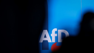 Transporter vor AfD-Parteib&uuml;ro in Berlin ausgebrannt - niemand verletzt