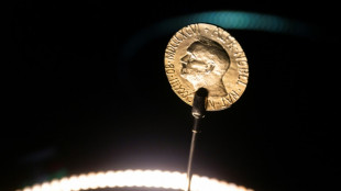 Le Nobel de m&eacute;decine au Su&eacute;dois Svante P&auml;&auml;bo, chasseur de l'ADN pr&eacute;historique