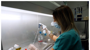 Sla, chiarito il ruolo chiave delle cellule-assistenti dei neuroni
