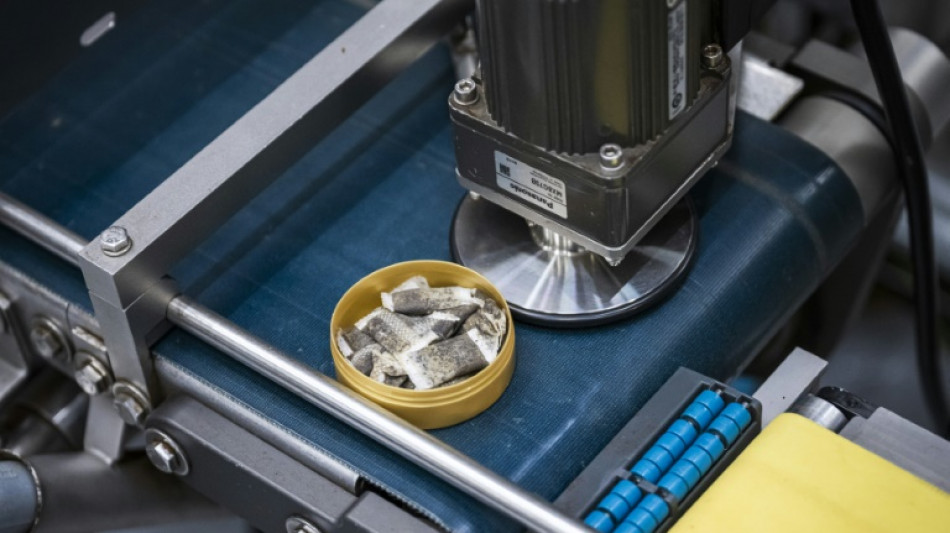 Sous les l&egrave;vres des Su&eacute;dois, le snus, substitut contest&eacute; de la cigarette