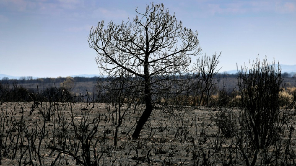 Los incendios arrasan una España envejecida