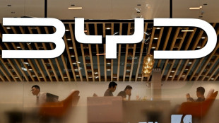 Lucro l&iacute;quido da montadora chinesa BYD cai 55% no 1&ordm; trimestre