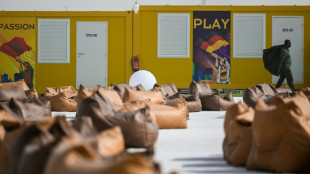 Boicot, preocupaci&oacute;n o expectaci&oacute;n: el Mundial de Catar divide a los hinchas