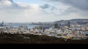 Desarticulan en Espa&ntilde;a una red que usaba narcolanchas para introducir coca&iacute;na en Canarias 
