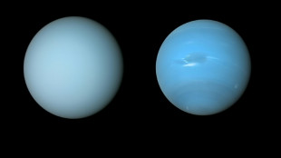 Cach&eacute;e dans la brume, Uranus est plus p&acirc;lotte que sa soeur Neptune