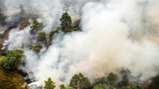 Waldbrand im S&uuml;dosten der Niederlande nahe NRW ausgebrochen