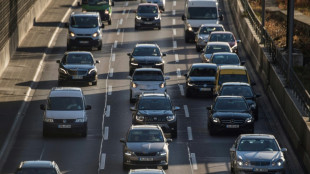 Zwei Verd&auml;chtige nach Gullydeckelwurf auf Autobahn bei Hildesheim festgenommen
