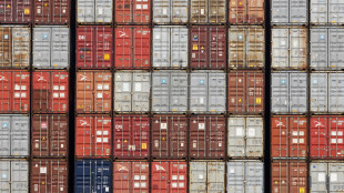 Rapporto Ice, l'export italiano nel 2023 &egrave; salito dello 0,2%