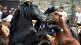 Un filme inmersivo sobre una tradici&oacute;n gallega compite en Cannes