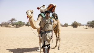 Les m&eacute;haristes, sentinelles du d&eacute;sert mauritanien face au risque jihadiste