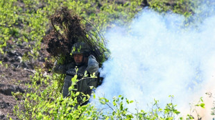 La producci&oacute;n mundial de coca&iacute;na se dispara a niveles r&eacute;cord, seg&uacute;n la ONU