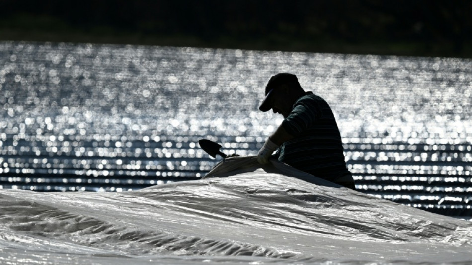 Hitzeschutz: Linken-Chef fordert k&uuml;rzere Arbeitszeiten bei hohen Temperaturen