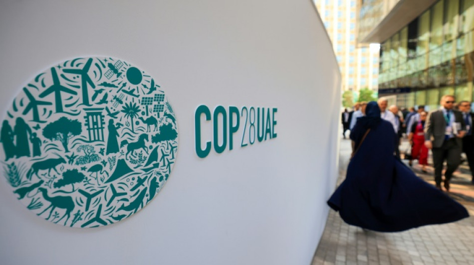 La pr&eacute;sidence de la COP28 sous pression pour faire sortir les n&eacute;gociations de l'orni&egrave;re