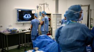 Dons de moelle osseuse: de gros progr&egrave;s mais une diversit&eacute; &agrave; am&eacute;liorer