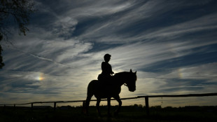 Le cheval, partenaire th&eacute;rapeutique de victimes de violences sexuelles