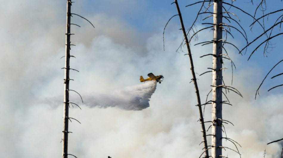 Einsatzkr&auml;fte beginnen nach Waldbrand am Brocken mit Ermittlungen zur Ursache