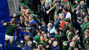 Springboks rally round accused hooker Mbonambi