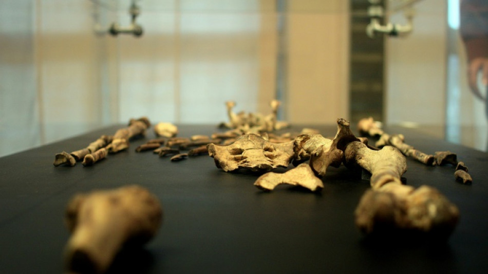 Praga acoger&aacute; la primera exhibici&oacute;n en Europa del esqueleto Lucy, de 3,18 millones de a&ntilde;os