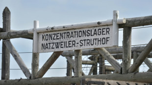 Dans la carri&egrave;re d&eacute;laiss&eacute;e du Struthof, des fouilles pour &eacute;clairer le travail forc&eacute; du camp de concentration