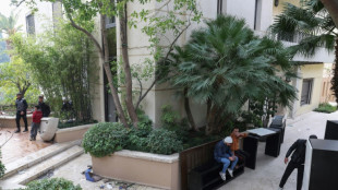 A Damas, dans le luxe de la r&eacute;sidence d'Assad, la fin de la "peur" 