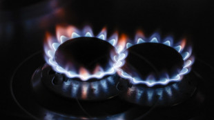 Il prezzo del gas apre in rialzo a 43,16 euro