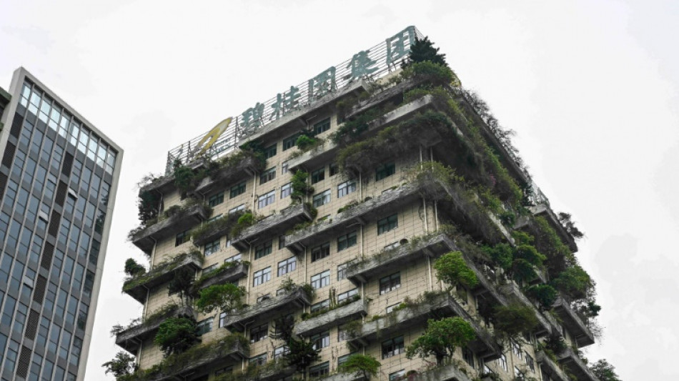 Grupo imobili&aacute;rio chin&ecirc;s Country Garden em queda expressiva na Bolsa e preocupa mercados