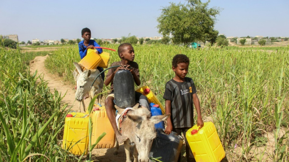 Quase 20 milh&otilde;es de pessoas precisam de ajuda no I&ecirc;men, diz ONU
